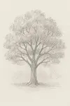 Learn how to draw realistic trees with this simple 5-step tutorial. Go beyond basic shapes to create trees that feel grounded, organic, and truly alive.
