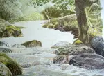 See an artist's realistic water drawing evolve! Part 3 covers expert critique, final coloured pencil refinements, and Daryl's inspiring journey to success