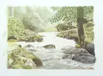 Learn to draw realistic water! Part 2 of Daryl's coloured pencil journey reveals Peter Weatherill's expert techniques for tackling 'swirls' & how to apply them