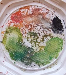 Grand-Union-wash-palette.jpg Grand-Union-wash-palette.jpg