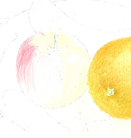 Drawing the apple step 1 Drawing the apple step 1