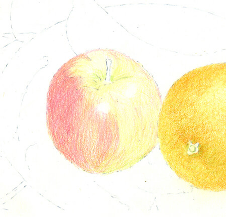 Fruits on sale pencil drawing