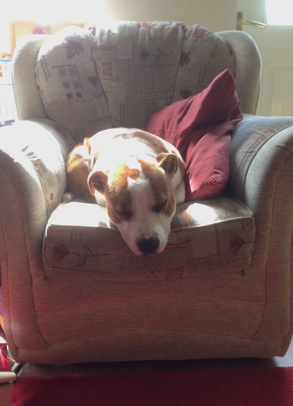 A washed out photo due to the lighting