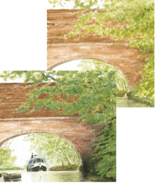 bridge-close-ups.png