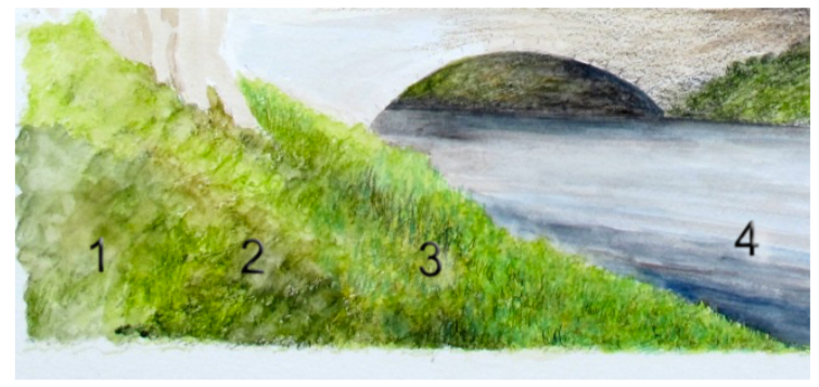 Close-up showing three stages of developing foreground grass textures with watercolour pencils Close-up showing three stages of developing foreground grass textures with watercolour pencils