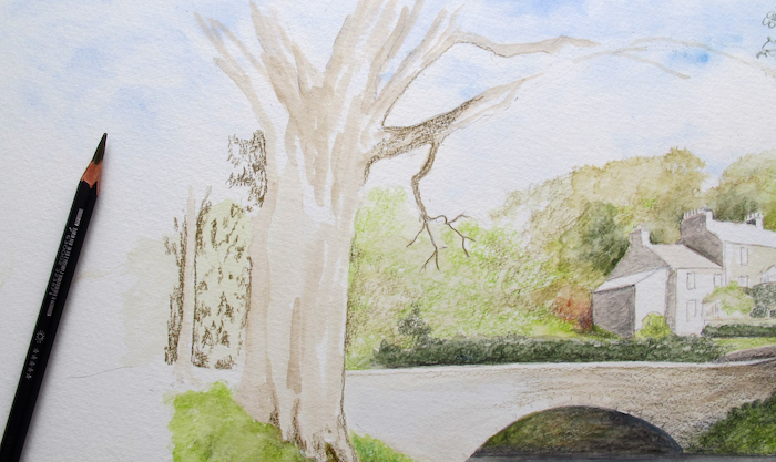 Adding background behind the oak tree Adding background behind the oak tree