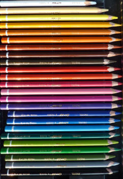 A selection of conte pastel pencils