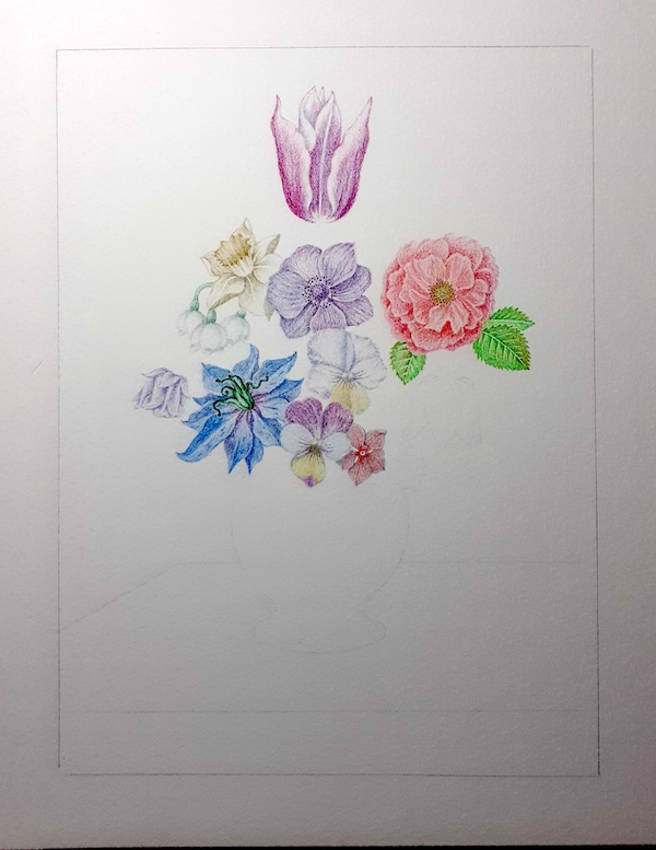 photo showing further progress with the drawing photo showing further progress with the drawing
