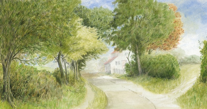 The completed coloured pencil painting of a country lane, showcasing lush trees with glimpses of blue sky, a detailed cottage with windows in the distance, and realistic shadows stretching across the sunlit lane.