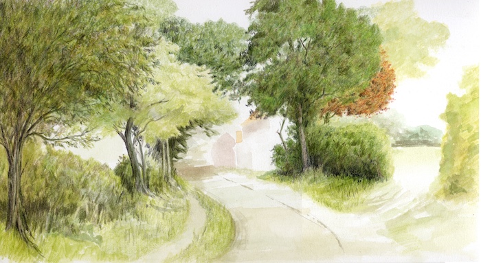 Further development of the country lane scene with dry coloured pencils, showing increased tonal values and depth in the trees, and initial layers of colour and texture on the grass verges and hedges.