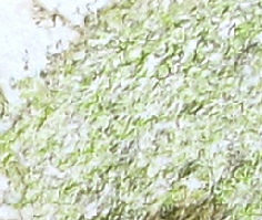 Scribble stroke close up