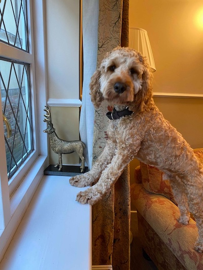 Louis standing up at the window