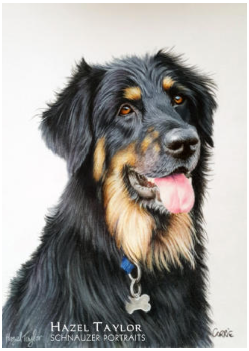 Hazel Taylors portrait of Corrie