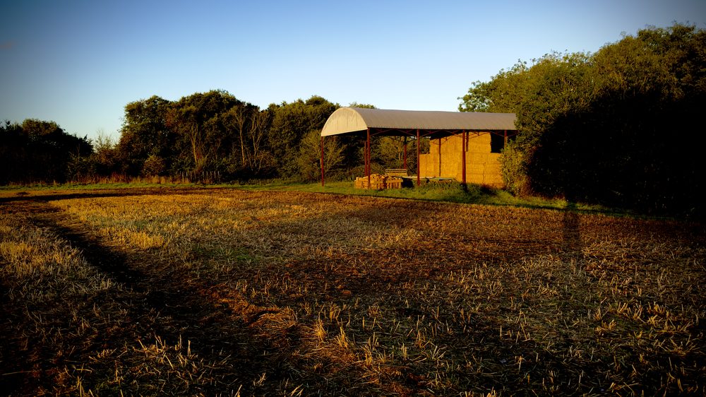 Open sided Dutch hay barn in low golden light with long shadows across stubble