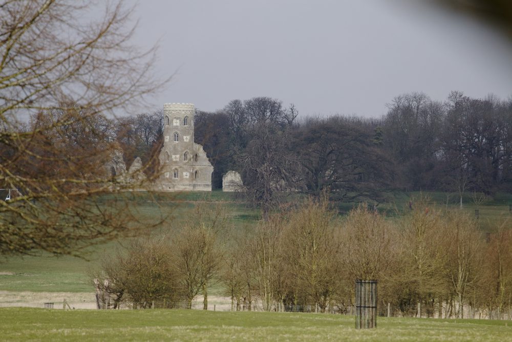 Distant gothic folly tower seen pale through bare winter trees across a field