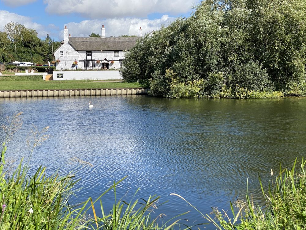 White thatched riverside pub seen across the water beyond a mown lawn