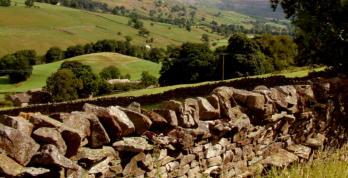 Dry stone wall in the landscape Dry stone wall in the landscape