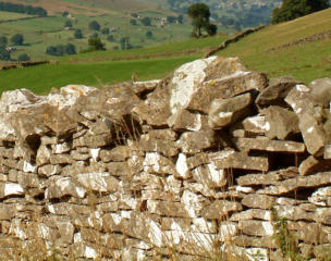 Photo of an old dry stone wall Photo of an old dry stone wall
