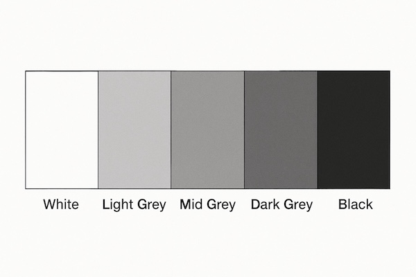 a 5 step value scale from white to black a 5 step value scale from white to black