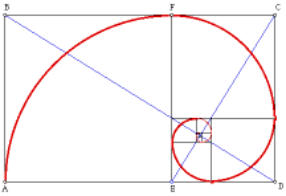 The Golden Section or Spiral The Golden Section or Spiral