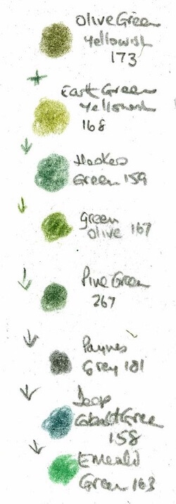 grand-union-green-polychromos.jpg