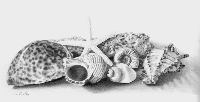 https://www.pencil-topics.co.uk/images/graphite-still-life.jpg