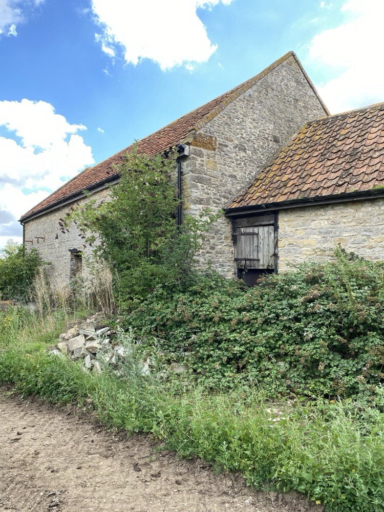 Stone barn with weathered orange clay-tiled roofs, moss and lichen spreading across the tiles