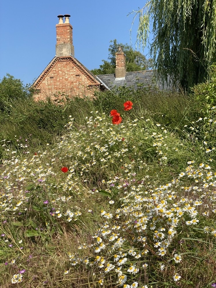 Brick village cottage with two tall brick chimney stacks, seen across the village green
