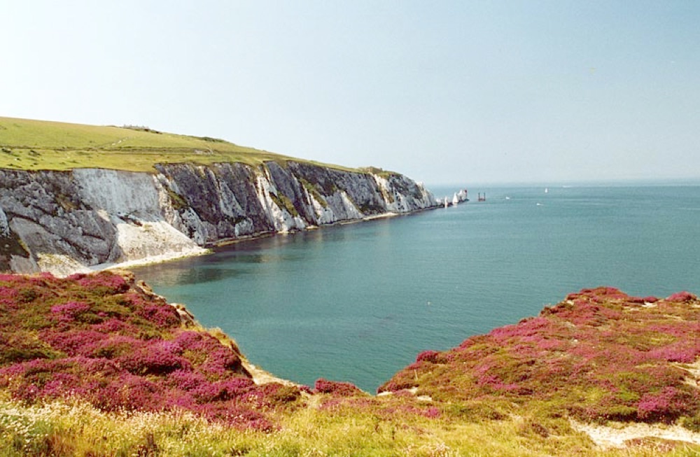 Reference photo of Alum Bay, Isle of Wight, with heather in the foreground and chalk cliffs running out to the Needles