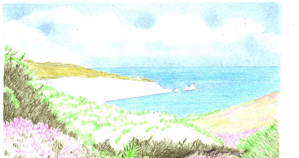 Mid stage of the Alum Bay coloured pencil drawing with the foreground heather and green foliage worked up in detail