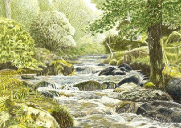 Drawing a river through the trees