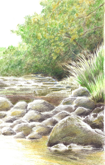 Adding more rocks in the water