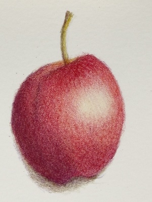 A red apple drawing using layering only