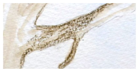 Applying watercolour pencil texture to the main oak tree branch for a realistic bark effect. Applying watercolour pencil texture to the main oak tree branch for a realistic bark effect.