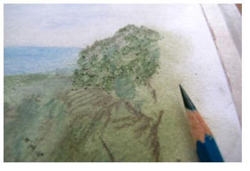 Adding tree texture on to the pastel drawing