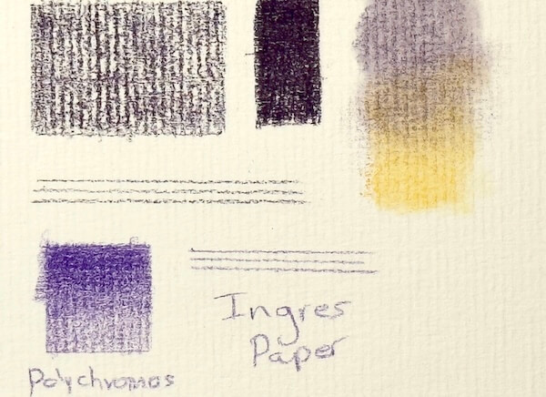 Test swatches showing Cretacolor pastel pencils and Polychromos coloured pencils on cream Daler Rowney Ingres paper, highlighting how the paper's ribbed texture affects layering, blending, and linework