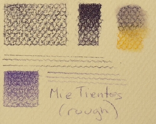Canson Mi-Teintes (textured honeycomb side) tests: Shows distracting texture, poor blending, and squiggly lines for both pastel and dry coloured pencils