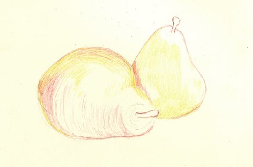 Using watercolor pencils dry for the first layer Using watercolor pencils dry for the first layer