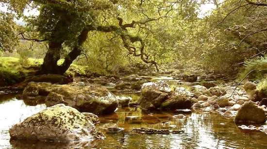 The photo reference for Tavy Rocks