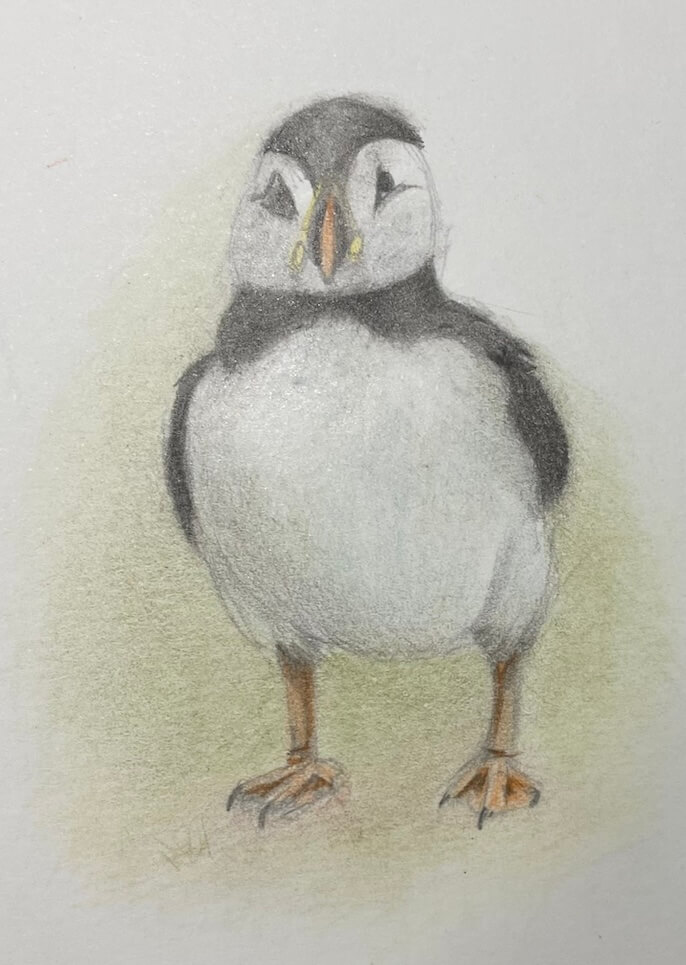 puffin-blended puffin-blended