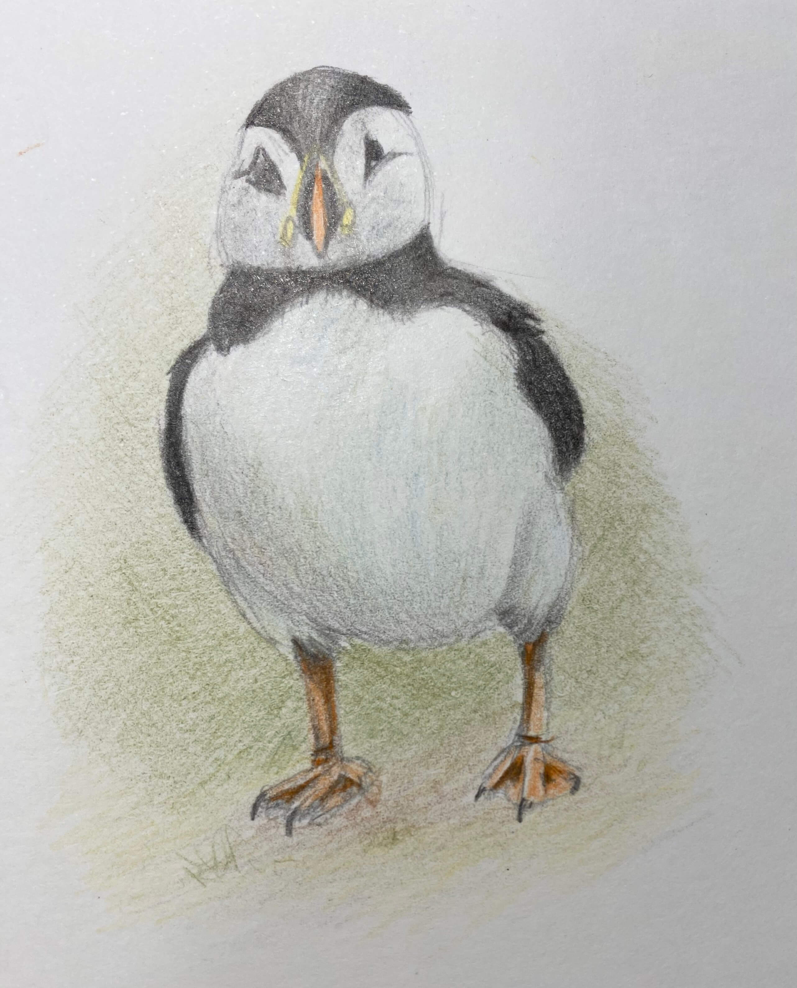https://www.pencil-topics.co.uk/images/puffin-not-blended.jpg