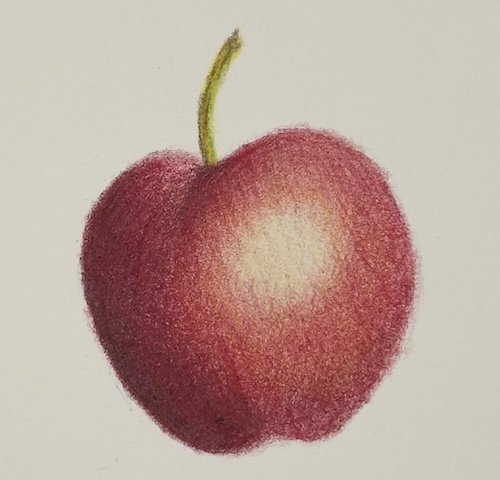 Red apple drawn with bruynzeel pencils
