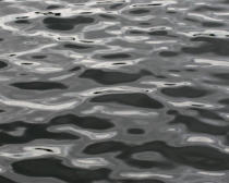 Photograph of monotone reflections on water Photograph of monotone reflections on water