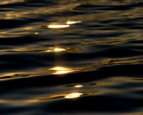 Photograph of ripples on dark water Photograph of ripples on dark water
