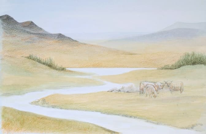 Adding highland cattle to our picture Adding highland cattle to our picture