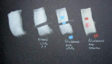 Pan pastels on Seawhite black paper
