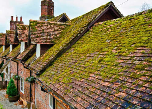 Photo of Somerset tiled barn Photo of Somerset tiled barn