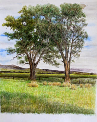 A finished pencil landscape drawing A finished pencil landscape drawing