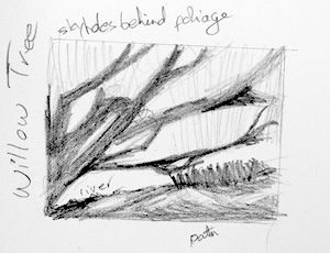 quick thumbnail sketch of a willow tree by the river