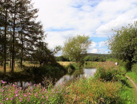 Reference photo of the Coventry Canal near Tamworth, Hopwas Woods to the left